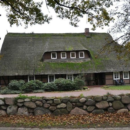 Reit- Und Bauernhof Klaucke Appartement Trebel Buitenkant foto