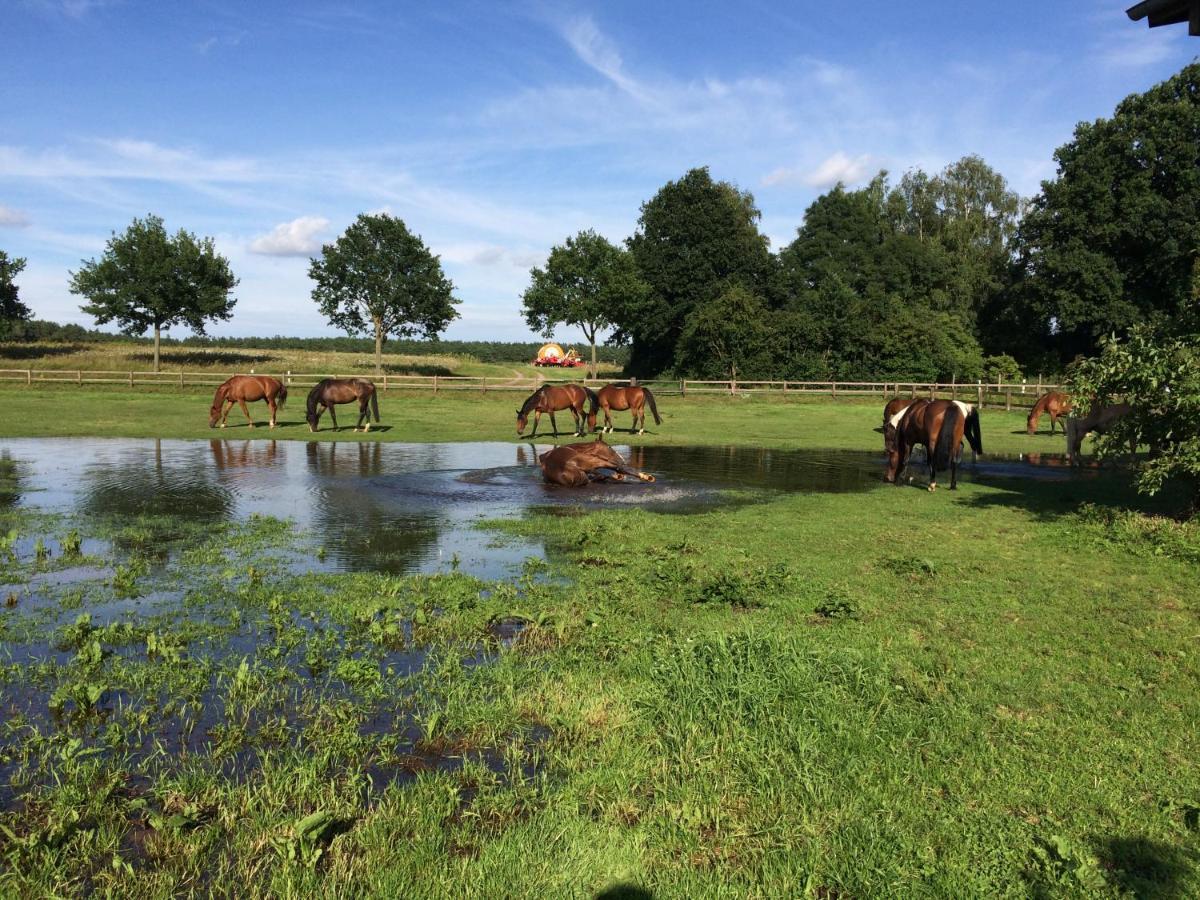 Reit- Und Bauernhof Klaucke Appartement Trebel Buitenkant foto