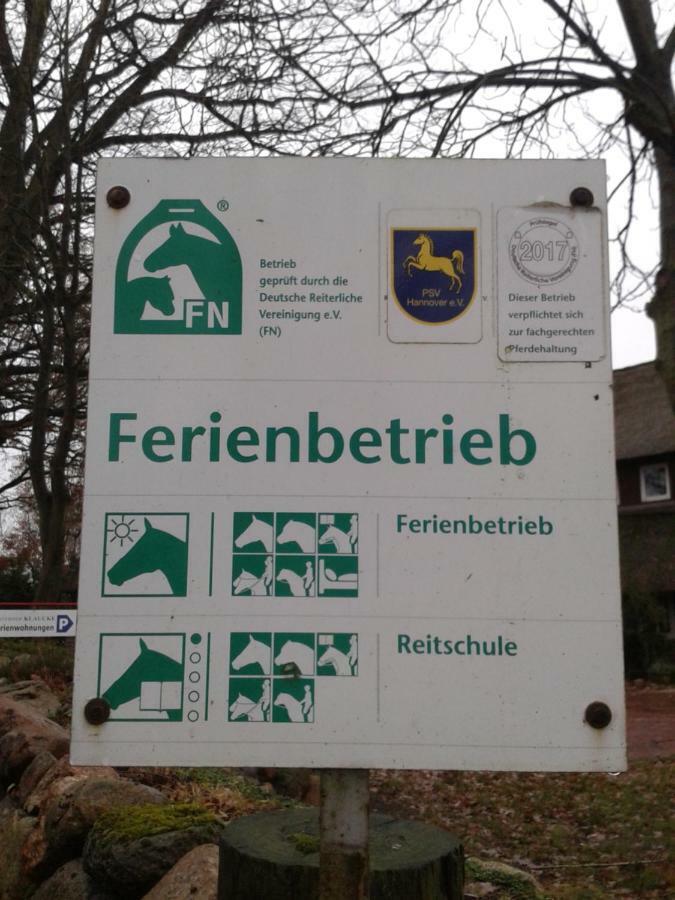 Reit- Und Bauernhof Klaucke Appartement Trebel Buitenkant foto